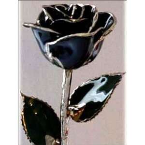  Black Lacquer Platinum Trimmed Rose Beauty
