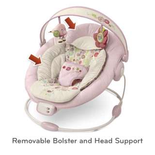  Bright Starts Comfort and Harmony Bouncer, Vintage Garden 