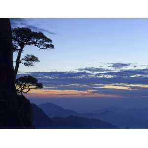  Silhouette of Pine Tree, White Cloud Scenic Area, Huang 