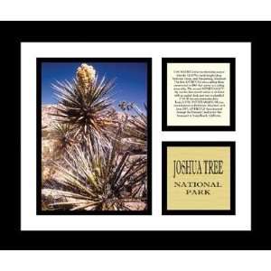  Exclusive By Pro Tour Memorabilia Joshua Tree National 