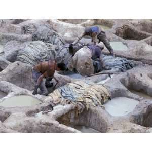  Men Working Tannery Vats in the Medina, Fes, Morocco 