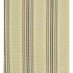  1762 Carver in Natural by Pindler Fabric