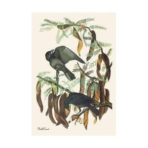  Fish Crow 20x30 poster