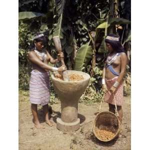  Choco Girls Grind Palm Nuts in a Wooden Mortar 