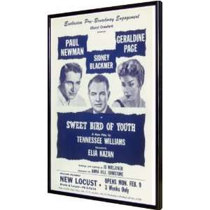  Sweet Bird Of Youth (Broadway) 11x17 Framed Poster