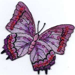  Butterfly,Fuchsia Sequined Iron On Embroidered Applique 