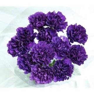 40 Fresh cut Moonshade Purple Carnations (advance ordering recommended 