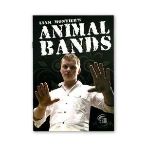  Animal Bands 