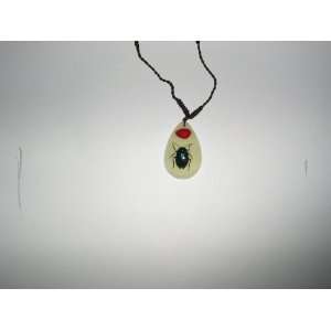  Glow in the dark Real Insect with Lucky Red Seed Necklace 