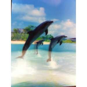 3D Effect Print Paint Plastic Picture   Dolphins (size 13 x 9.5)