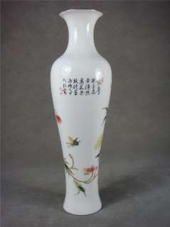 Fine Famille Rose Porcelain Vase *Butterfly &Flowers*  