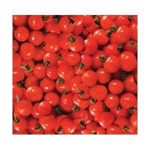  RJR Farmers Market Fruits Vegetable Cherry Tomato by the 