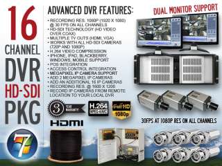 16 Channel DVR H.264 HD SDI Surveillance Camera Package CCTV  