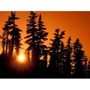 Orange Sunset in the Wilderness Around Mt. Jefferson, Oregon Cascades 