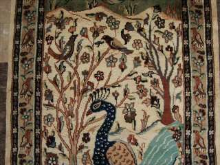 BEAUTY PEACOCK IN JUNGLE BIRD FINE HAND KNOTTED RUG WOOL SILK CARPET 