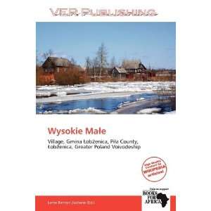  Wysokie Mae (9786138595243) Larrie Benton Zacharie Books