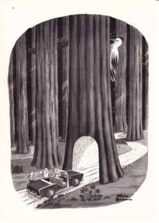1967 Charles Addams Tree Woodpecker New Yorker cartoon  