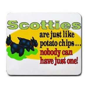  Scotties are Just Like potato Chips Nobody can have Just 