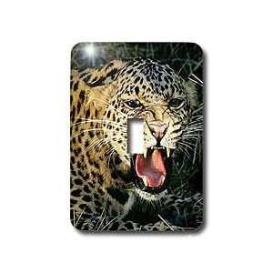 Wild animals    Leopard   Light Switch Covers   single toggle 
