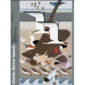  Charley Harper Poster   Atlantic Barrier Islands