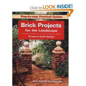   (Step by Step Practical Guides) [Paperback] Alan Bridgewater Books