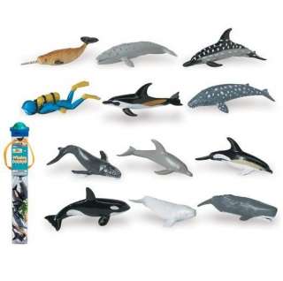 , gray whale killer whale, beluga whale, humpback whale, blue whale 