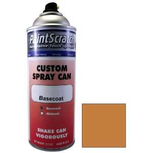   Paint for 2005 Winnebago All Models (color code M4949U) and Clearcoat