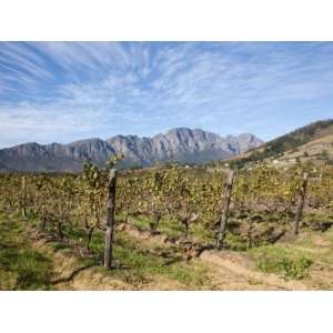  Franschoek, Cape Winelands, Western Cape, South Africa 