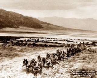 1877 1900S 20 MULE TEAM BORAX WAGON DEATH VALLEY CALIFORNIA CA PHOTO 