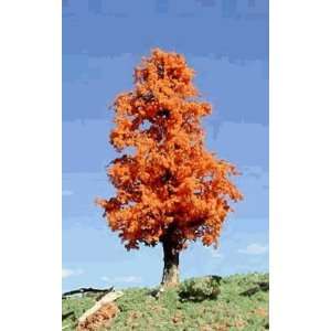  Timberline Scenery Deciduous 6 9 October Orange Tree 