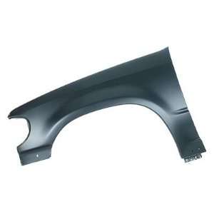  LH FENDER CAPA W/MOLDING HOLES Automotive