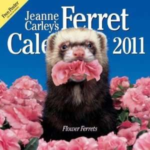  Jeanne Carleys Ferrets Flower Ferrets Wall Calendar 2011 