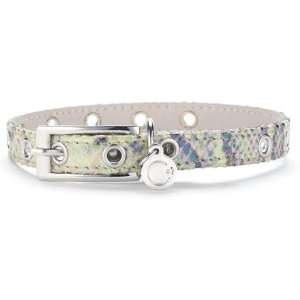  Firenze Dog Collars