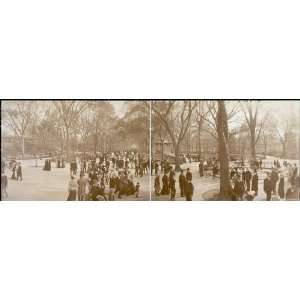    Panoramic Reprint of The Mall, Central Park