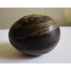  Crystal Healing Stromatolite Fossil Stone Carved As Large 