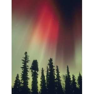  Aurora Borealis, Fairbanks Area, Alaska, USA Photographic 
