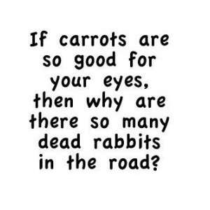  If carrots are so good for your eyes