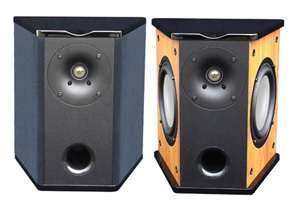 Premier Acoustic PA 6S Surround Speakers Pair Black  