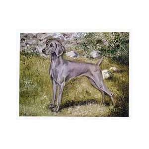  Weimaraner in Field Notecards 