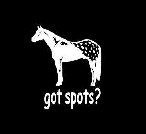 Got Spots? Appaloosa Horse Sticker/Decal  