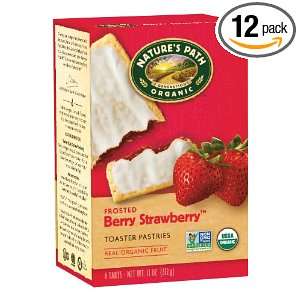 Natures Path Organic Toaster Pastries, Frosted Strawberry, 6 Count 