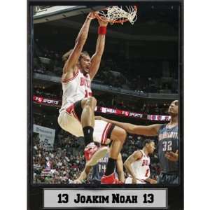   Plaque  Chicago Bulls / Joakim Noah Case Pack 14