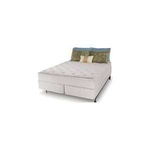   National Salerno Double Full Waterbed Mattress Furniture & Decor