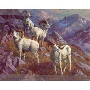    Harry Curieux Adamson   High Bastion Dall Sheep