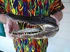 G205 40) 11 12 Gator ALLIGATOR Aligator HEAD teeth TAXIDERMY heads 