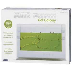  Uncle Milton   Ant Farm Gel Colony (Science) Toys & Games