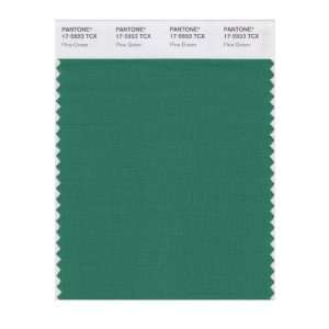  PANTONE SMART 17 5923X Color Swatch Card, Pine Green