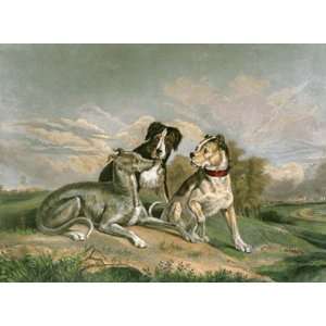  Boasting Hound, The Etching Landseer, Sir Edwin H Lucas 