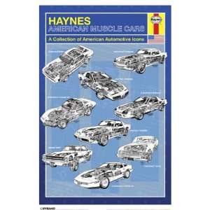  Haynes American Muscle Cars Poster