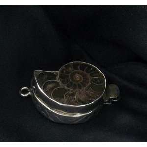  AMMONITE FOSSIL STERLING SILVER CLASP #3~ Everything 